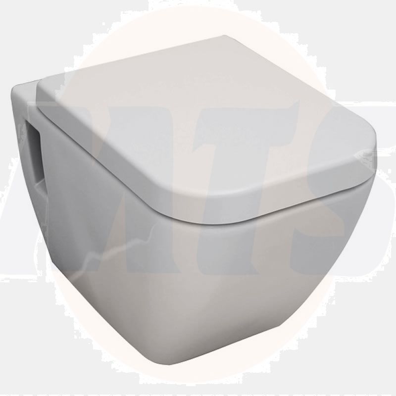 Cooke & Lewis Diagonal Toilet Seat and cover Soft Close
