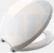 Toilet seat Bemis Buxton 2850ZCPT000, white