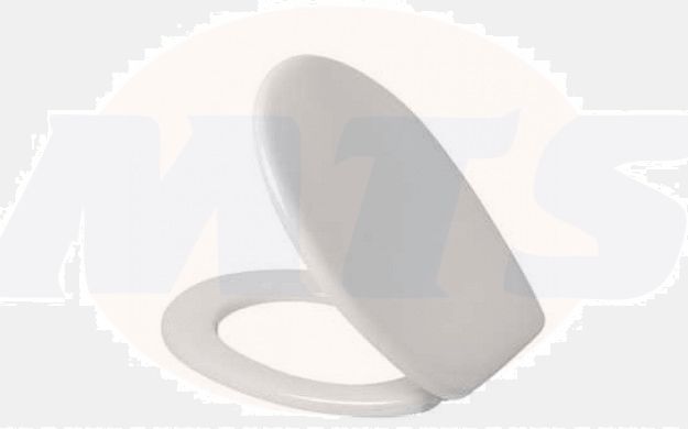 Toilet seat with soft close and lift-off incl. hinge in stainless steel