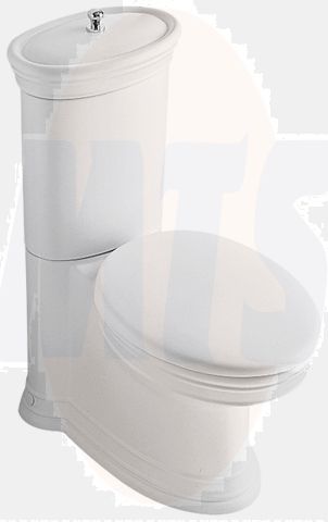 Villeroy & Boch Amadea Toilet Seat and Cover with fittings 8810.61