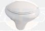 66-003-001 Toilet seat compatible with Vitra Instanbul Soft Close Pan