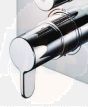 Ideal Standard Spares HANDLE THERM. CPL. A860949AA