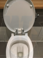 Purity K7043 Ideal Standard  Armitage Shanks Purity Toilet  Seat and Cover K704301 with all the fittings SK704301 Original Seat with Fittings