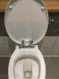 purity_toilet_seat_k704301_2d
