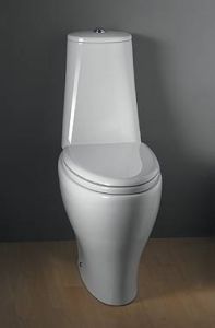 Axa SYNUA Toilet Seat and Cover