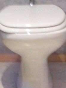 BELLAVISTA-ASTRO TOILET SEAT AND COVER WHITE 