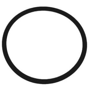 Dornbracht Ring Seal 09141004990