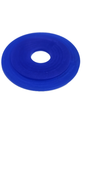 Seal For Flush Valve With Ridge