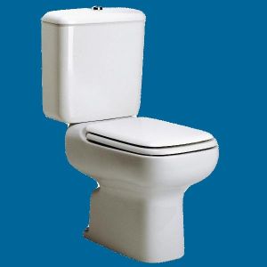 IDEAL STANDARD MICHELANGELO TOILET SEATAND COVER IN PERGAMON COLOUR