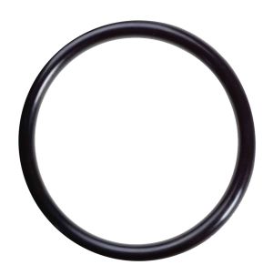 Sanit Lip Seal 6999